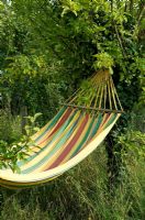 Striped hammock hung between two mature apple trees - Harvey's Garden Plants, Thurston, Suffolk