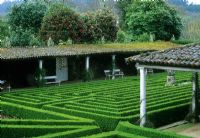 Low Buxus hedging forming maze - De Oca, Galicia, Spain
