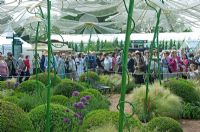Crowds looking at garden designed by Diarmuid Gavin for The Oceanico Group- RHS Chelsea Flower Show 2008
