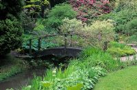 Timber bridge over stream - Woodland water garden