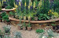 Raised bed with Hosta, Anchusa and Verbascum in pots placed on timber ledge - RHS Chelsea Flower Show 2008