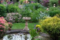Herbaceous border with pond and stone bird bath in small garden   