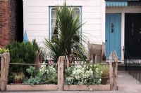 Seaside style garden in front of wooden house with driftwood, ropes and chains as ornaments, dry coastal planting including Crambe maritima, Centanthus ruber, Yucca, rosemary, Stipa, Lavender