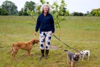 Susie Yates with dogs - From left artistically named Sienna, Scribble and Sketch in field behind flower garden