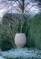 Empty container in border with Stachys byzantina in winter - Pound Farm House, Essex