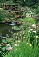 Waterfall and pond in garden - Johannesburg, South Africa