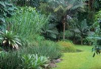 Tropical garden - Raul de Souza Martins, Petropolis, Brazil