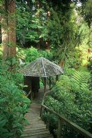Wooden steps through tropical style planting leading down to wooden summerhouse - Titoki Point, New Zealand