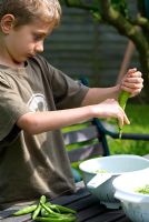 Young boy shelling broad beans