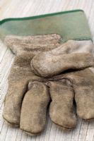 Weathered and worn gardening glove