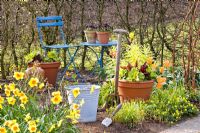 Spring garden with pots, tools, table and chair