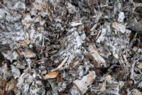 Composting woody material fungal growth is vital for decomposition