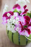 Pelargonium and Cow Parsley in small green vase