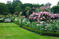 Summer border with Rosa 'Ballerina' in June - Chenies Manor Gardens