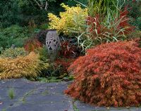 Small pond with Acer dissectum and granite urn resting in autumnal border  - Lakemount, Ireland