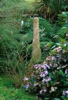 Elongated pot sculpture in Hydrangea, grasses and fern border - Lakemount, Ireland
