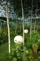 Forest Squared Conceptual garden with green foliage planting for shade under ranks of Betula birch with bright white stems surrounded by three mirror walls effectively making space infinite. Two white spheres sculpture. Design - Ivan Tucker - RHS Hampton Court Palace Flower Show