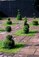 Courtyard with Yew topiary shapes - Ridler's Garden, Swansea, Wales