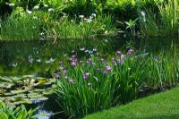 The Water Gardens - The Beth Chatto Gardens