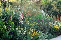 Perennial border with soft planting - Evening standard garden, RHS Chelsea Flower Show