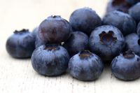 Vaccinium 'Goldtraube 71' - Freshly picked organic blueberries