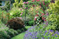 Grass path bordered by mixed perennials leading to rose garden with arch and gate - Millenium Garden NGS