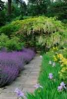 Path leading to pergola covered with Wisteria and Rosa. Borders with Nepeta and  Iris - Gravetye Manor, Sussex