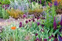 Mixed planting in show garden at RHS Chelsea Flower Show 2008
