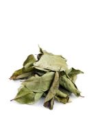 Curry Leaves
