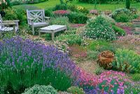 Terrace with alpines, seating adn lavender at Cox Woodpeckers, Warwickshire NGS