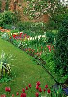 Spring garden with tulips - Chenies Manor, Bucks