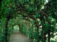 Arched walkway