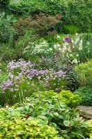 Herbaceous border with variegated Melissa, Allium schoenoprasum and Paeonia mlokosewitschii 'Molly the Witch' - Hunmanby Grange, Yorkshire