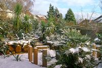 Mediterranean style garden in winter - Radlett Avenue, Sydenham