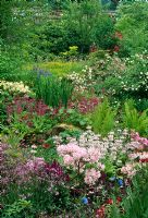 Bog garden planted with Azalea, Primula vialli, Meconopsis, Ferns, Iris and Persicaria bistorta - Gresgarth Hall, Lancashire