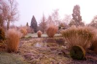 View across pond with frosted ornamental grasses - Woodpeckers, Warwickshire