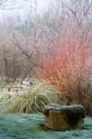 Frosted border with wooden bench, stone container and willows - Woodpeckers, Warwickshire 