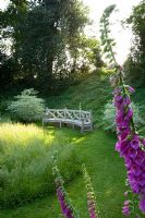 A place to sit - early morning sunlight hits beautiful wooden bench seat and foxgloves beside wildflower meadow - The Old Rectory, Haselbech, Northamptonshire. 
