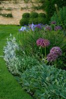 Mixed Summer bed including Allium christophii and Stachys - The Old Rectory, Haselbech, Northamptonshire