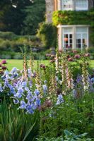 Mixed bed with Digitalis and Iris - The Old Rectory, Haselbech, Northamptonshire