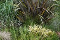 Ornamental grasses in a border - Hakonechloa macra 'Aureola', Deschampsia cespitosa, Phormium tenax 'Atropurpureum' and Miscanthus