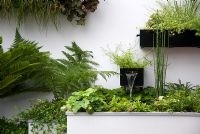 Black wall planters with water feature - Living on the Ceiling 'No more room down there' Garden - Hampton Court Flower Show 2008