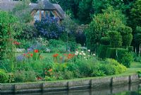 Waterside border including Papaver and Ceanothus flowering near house - The Old Mill, Ramsbury, Wilts