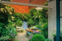 Small urban courtyard garden with paved seating area and Hydrangea petiolaris and mixed Rosa - Holland