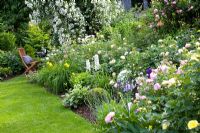 Mixed border including Rosa 'The Pilgrim' and Rosa 'Mary Rose', leading to seating area beneath Rosa 'Rambling Rector'