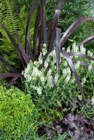 Phormium 'Black Adder' with Heuchera 'Liquorice', Buxus sempervirens and white Nepeta - The Anglian Green, Black and White Garden - Hampton Court Flower Show 2008