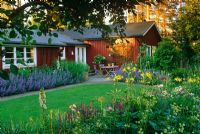 Wooden house with lawn and borders containing Nepeta, Salvia and Hemerocallis 
- Ulf Nordfjell's own garden, Agnas, Northern Sweden