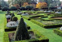 Box cones and spheres in formal parterre garden - Westbury Court Gardens 