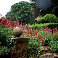 Centranthus ruber best grown on old stone walls, steps and stony banks - Ilmington Manor, Warwickshire NGS