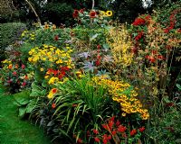 Mixed herbaceous border including Helianthus, Stipa gigantea and Heleniums - Ashover Warwickshire, NGS 